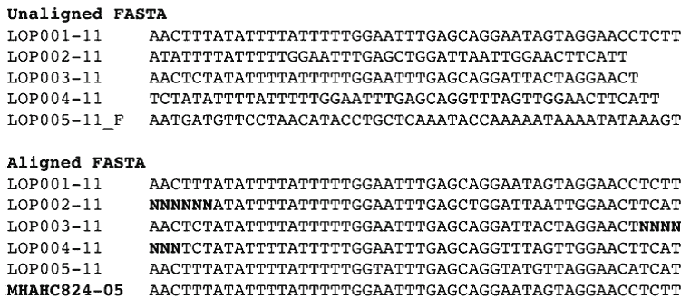 bioedit align more than two sequences